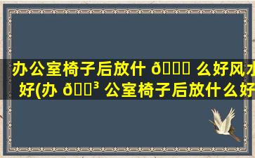 办公室椅子后放什 🐒 么好风水好(办 🐳 公室椅子后放什么好风水好呢)